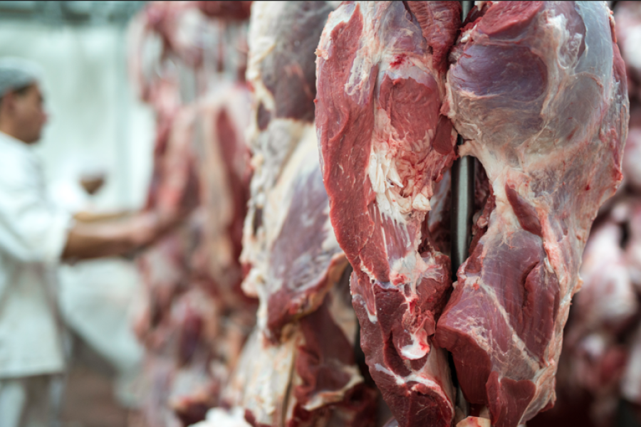 Carne bovina garante 90% do faturamento das exportações de proteínas de MT no 1º trimestre