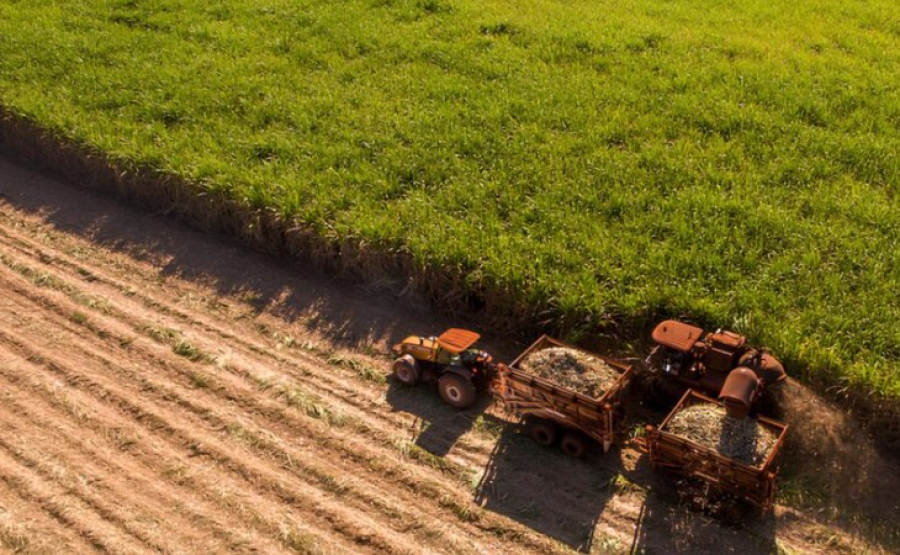 Produção de cana-de-açúcar deve cair 2% em 2025/26, aponta Conab
