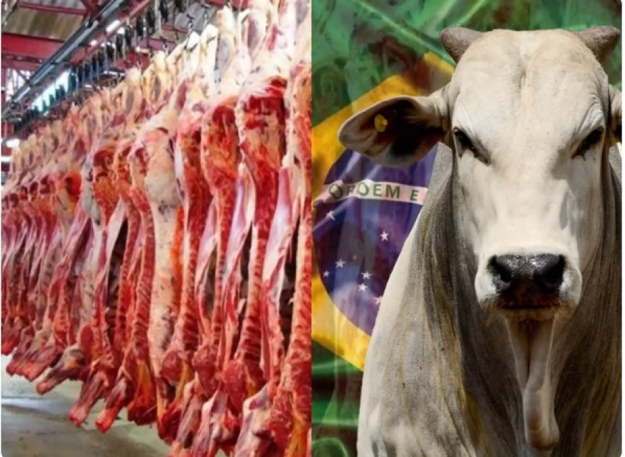 Exportações de carne bovina em abril/25 registram o segundo melhor desempenho da série histórica