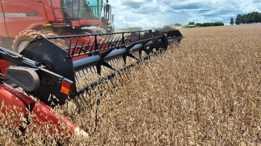 Soja despenca na Bolsa de Chicago e assusta produtores