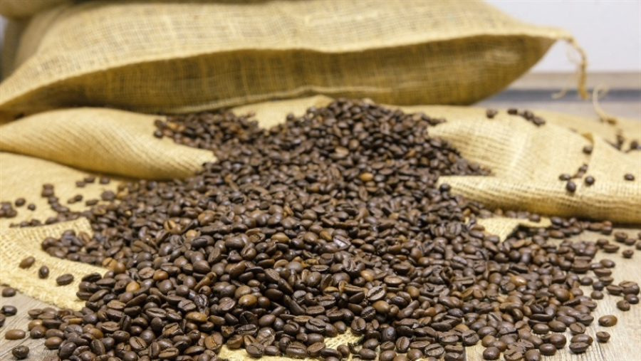 Exportações de café batem recorde em receita apesar da queda no volume