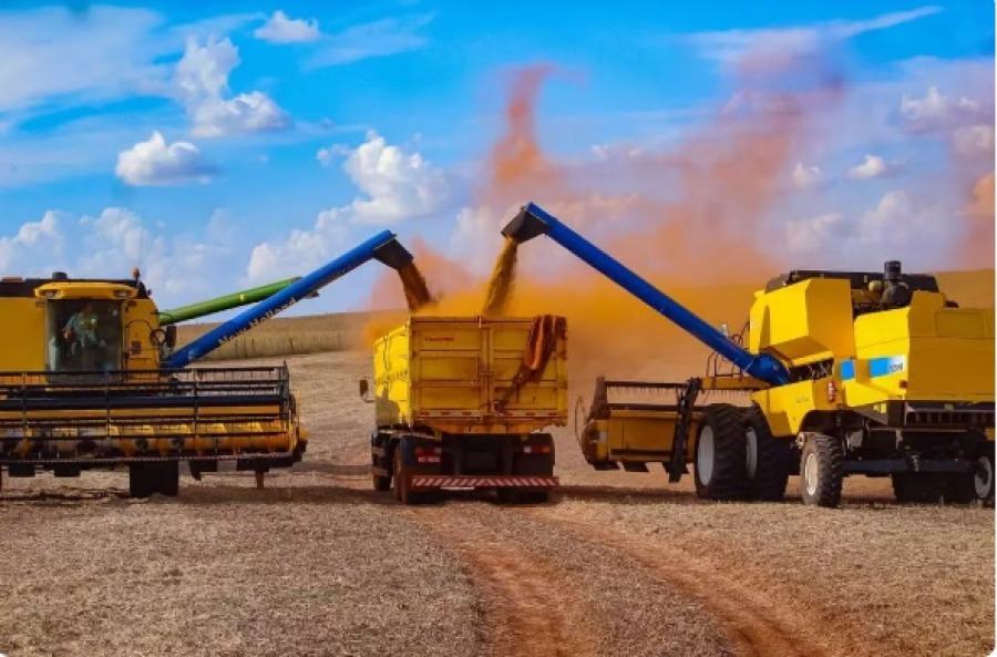Mato Grosso bate recorde histórico na produção de grãos em 2025 e lidera safra nacional