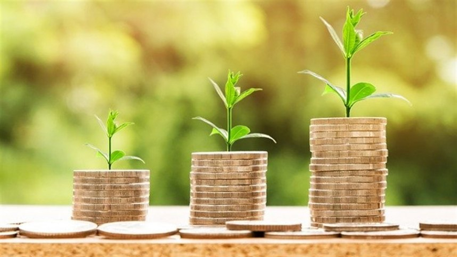 Plano Safra 2025/26 decepciona setor e revela retração real no crédito agrícola
