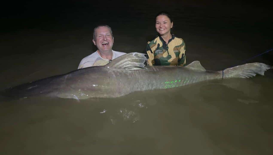 Pescador captura Piraíba de mais de 2 metros em rio do Norte de Mato Grosso
